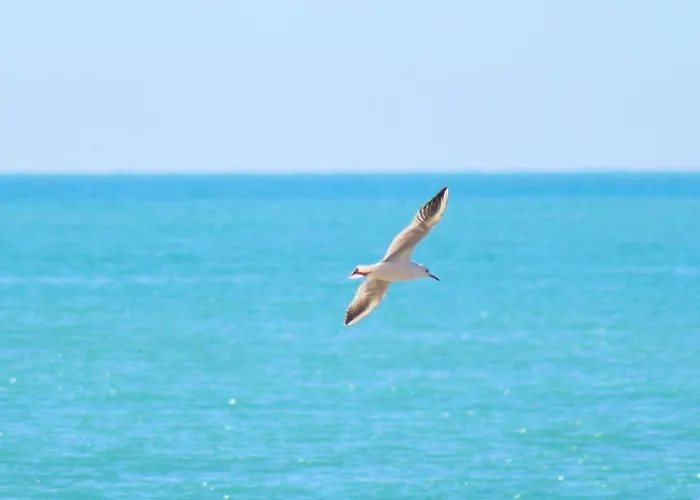 Pet Friendly In Lägenhet *